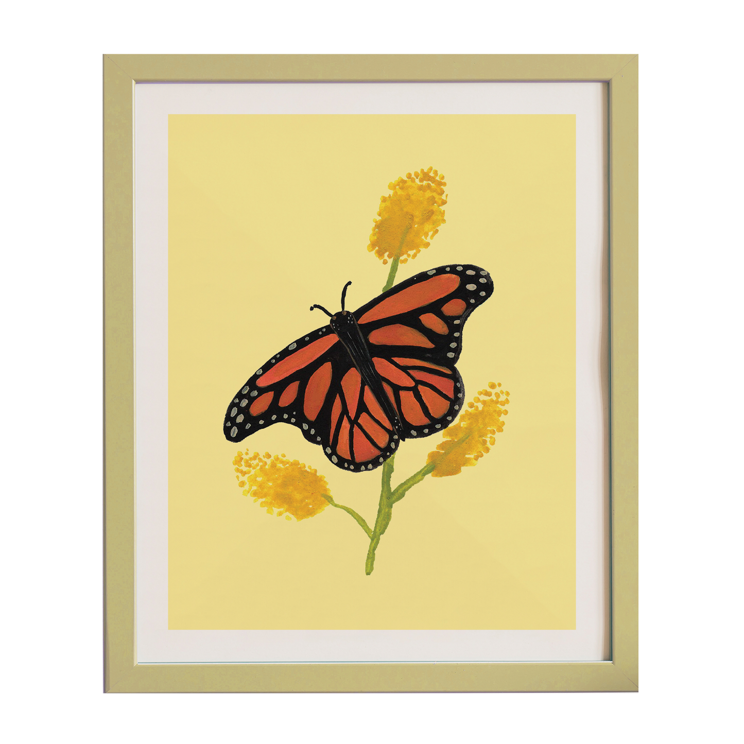 Monarch Butterfly - Archival Limited Edition
